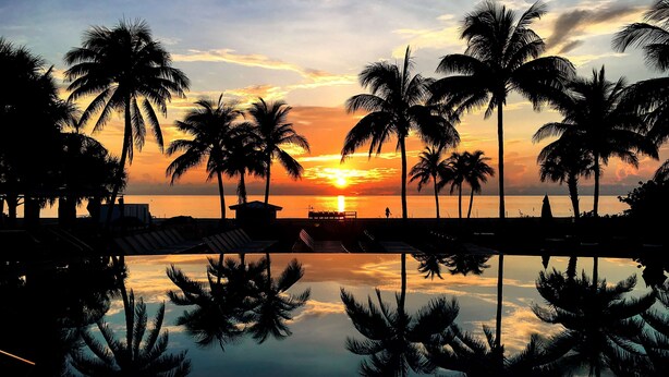 A sunset view with palm trees and a calm sea. - B Ocean Resort Fort Lauderdale Beach (Fort Lauderdale)