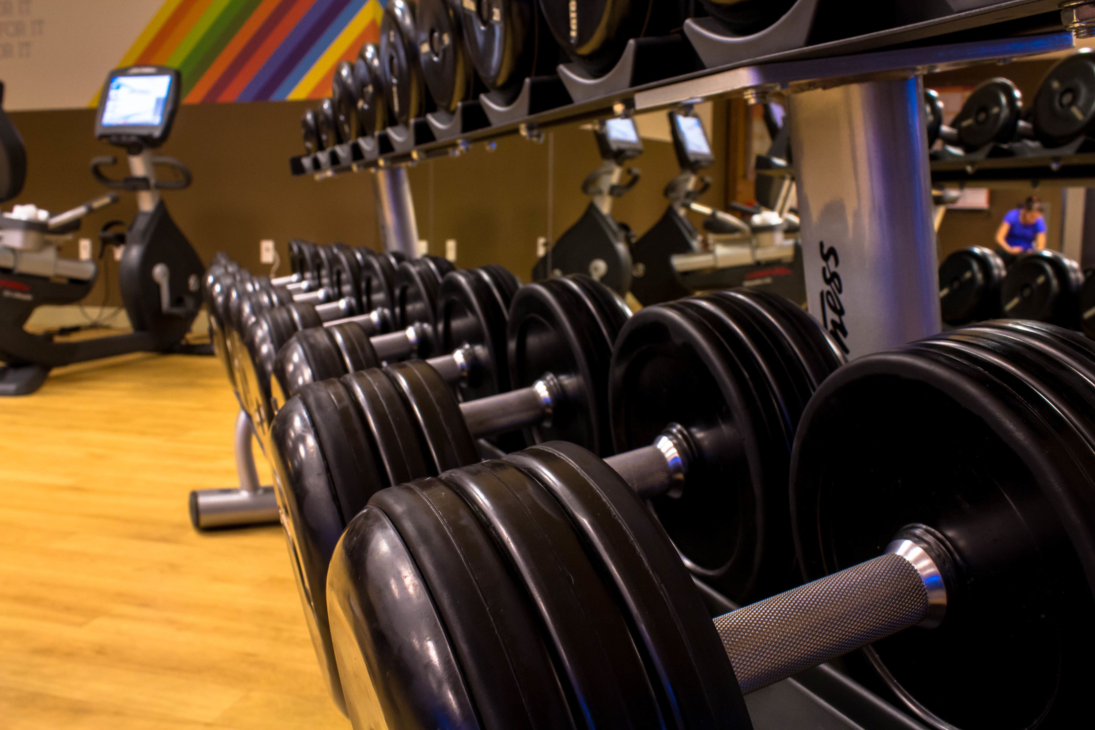 A row of black dumbbells on a rack in a gym.