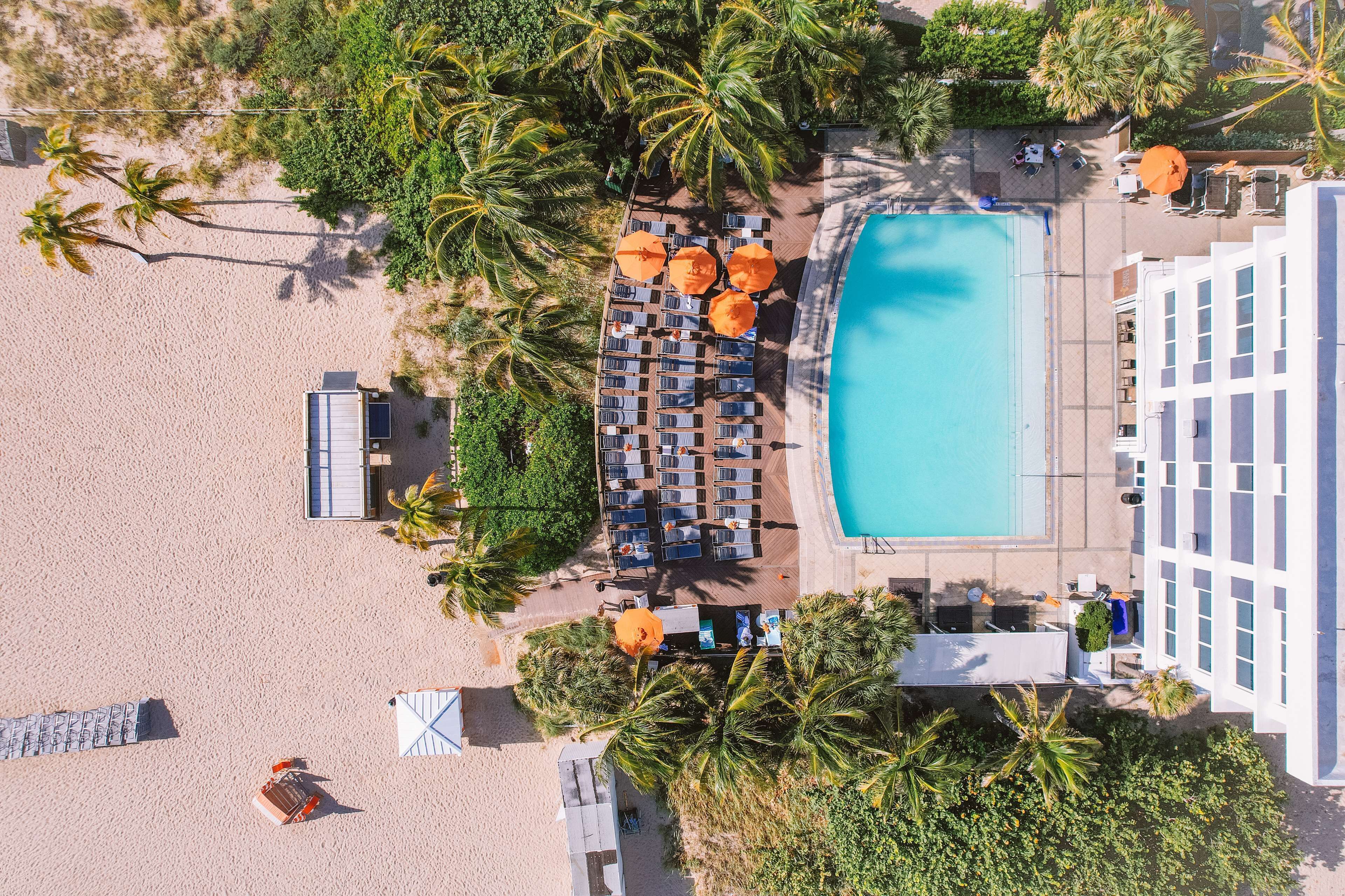 An aerial view of a resort with a pool, sun loungers, and palm trees.