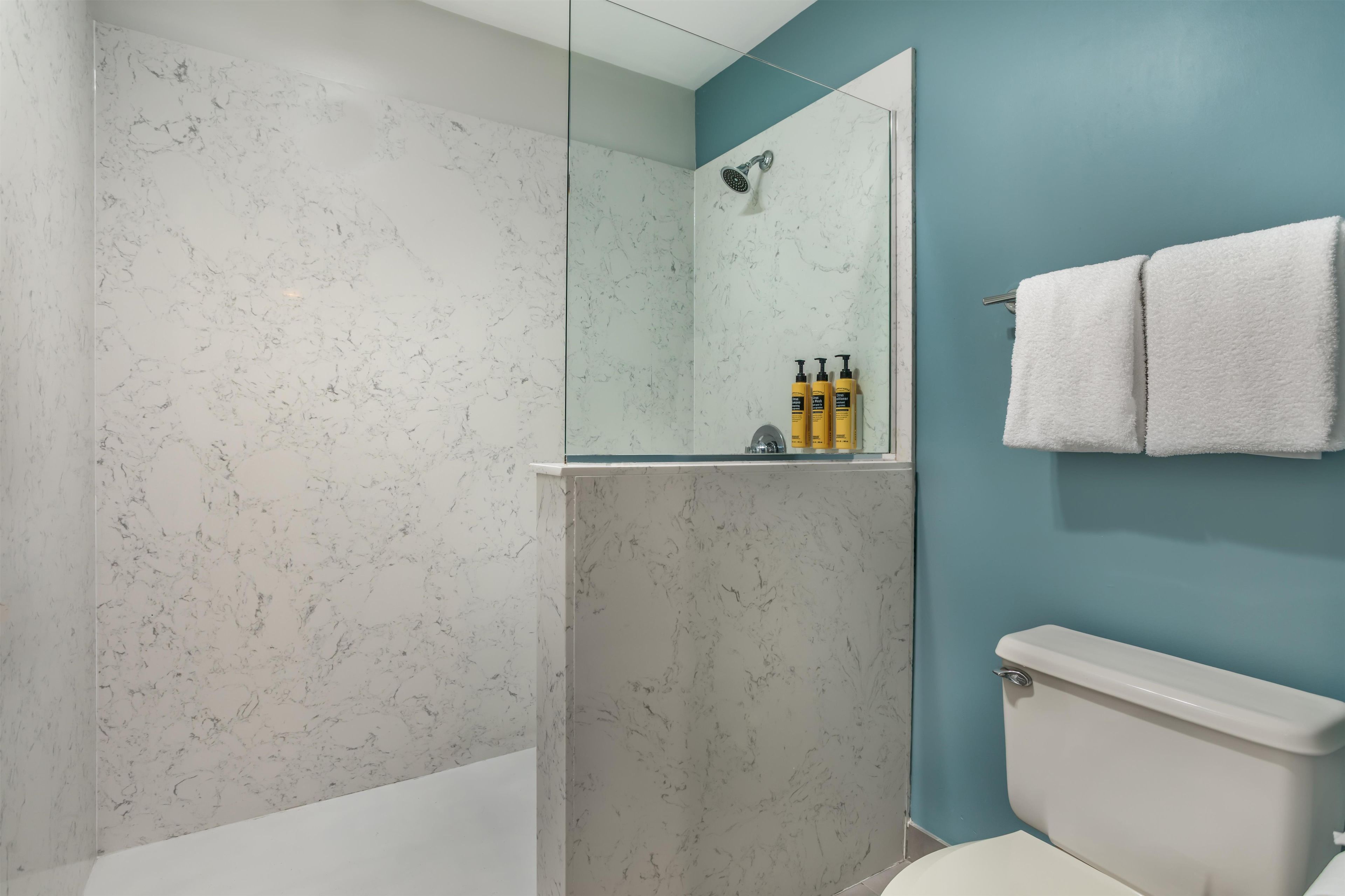 Une salle de bain avec une douche, des toilettes et un miroir.