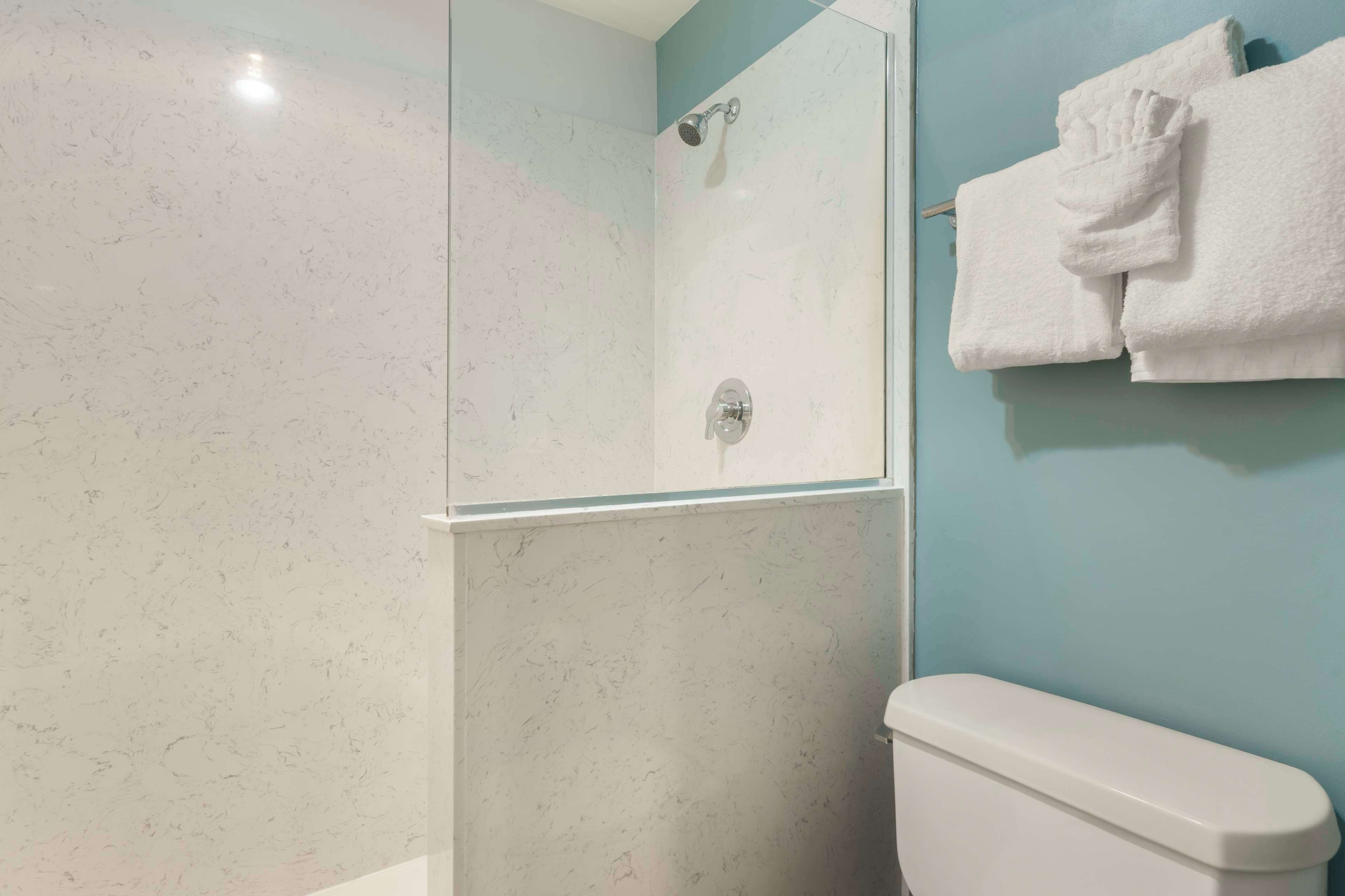 A bathroom with a shower, a toilet, and a towel rack.
