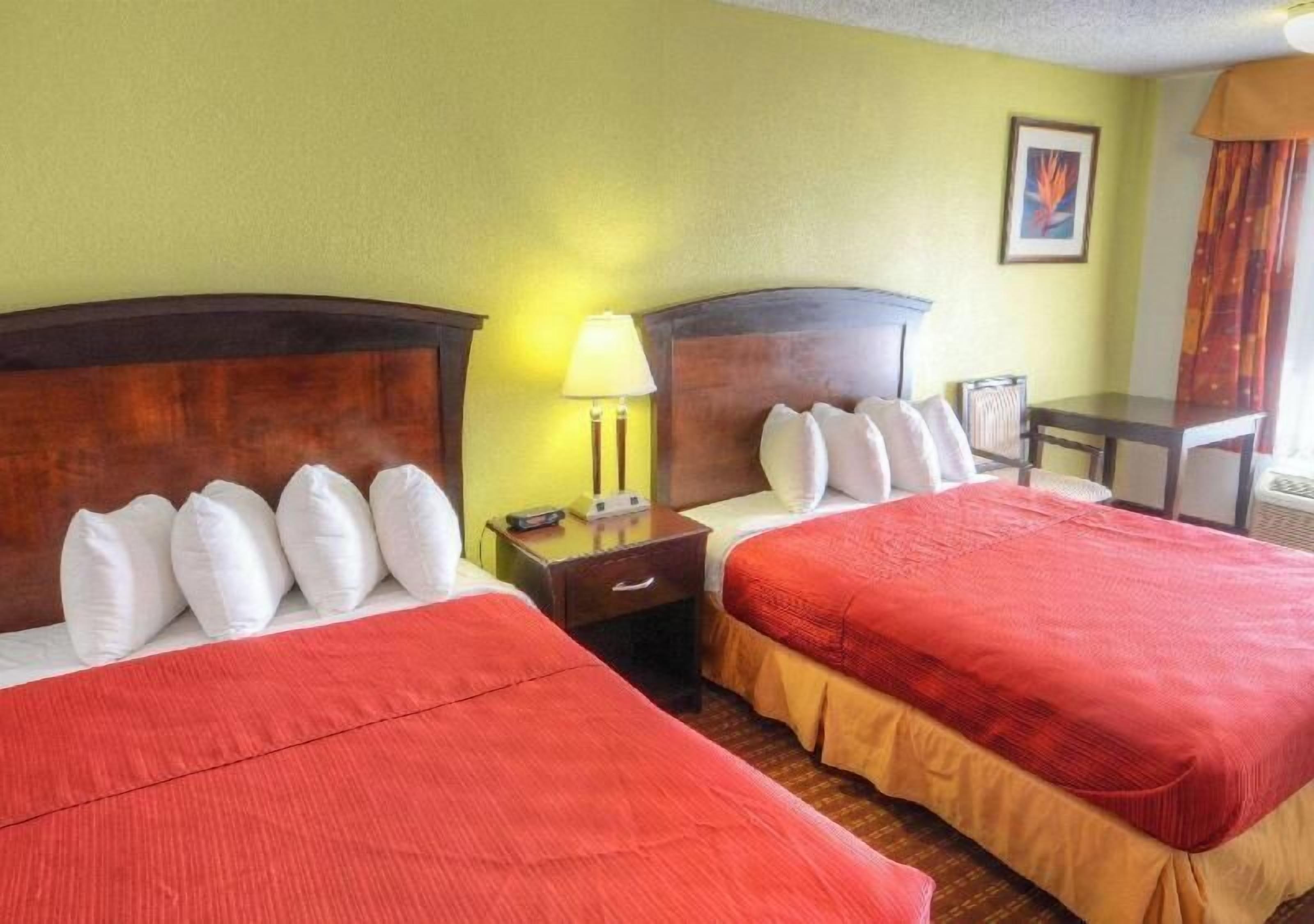 Iron/ironing board, free cots/infant beds, rollaway beds, free WiFi