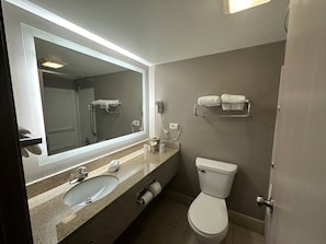 Chambre Supérieure, 2 grands lits (Smoke Free) | Salle de bain | Sèche-cheveux, serviettes fournies