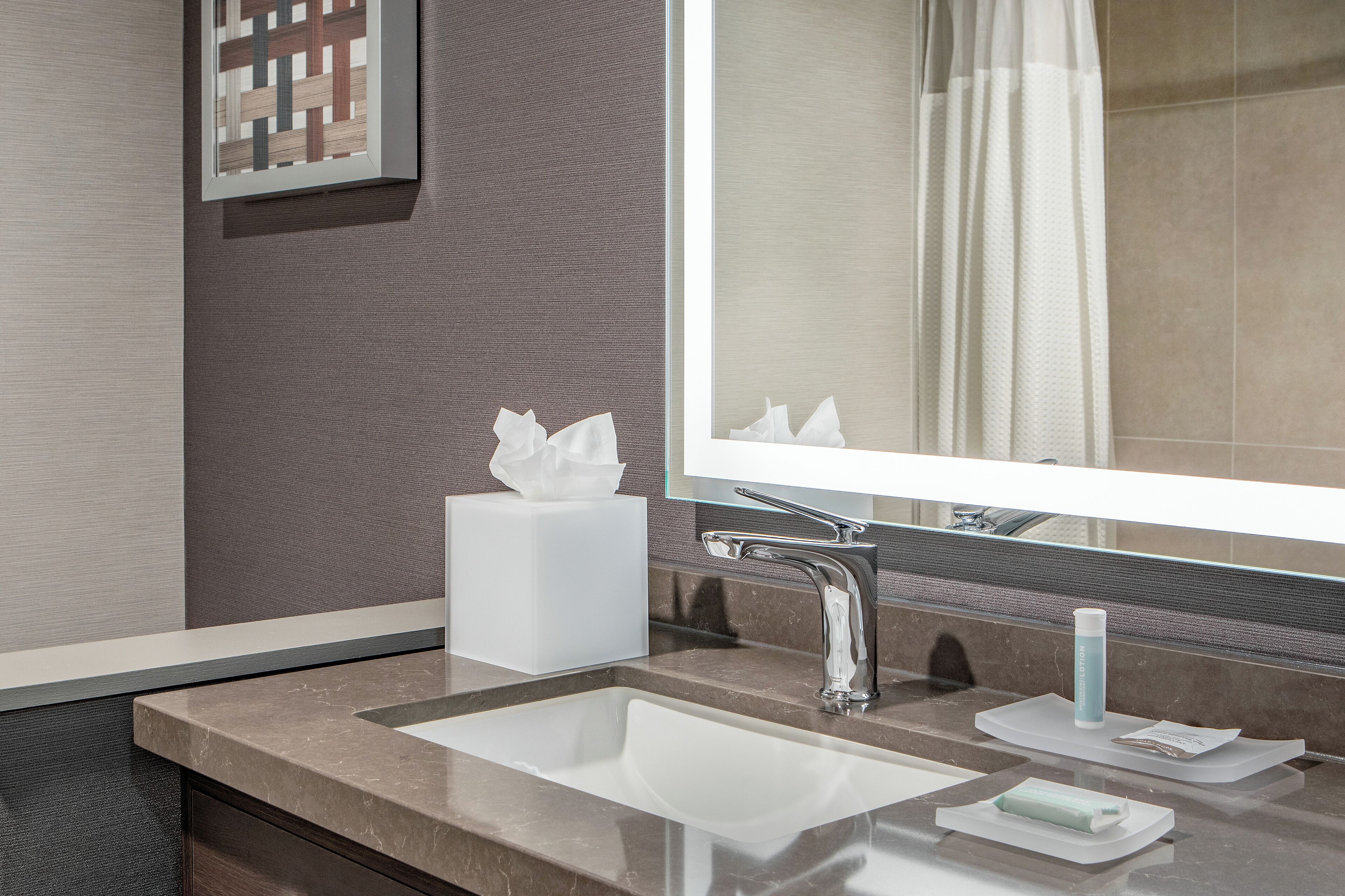 room, 1 king bed with sofa bed (mobility/hearing accessible, tub) | bathroom | free toiletries, hair dryer, towels, soap