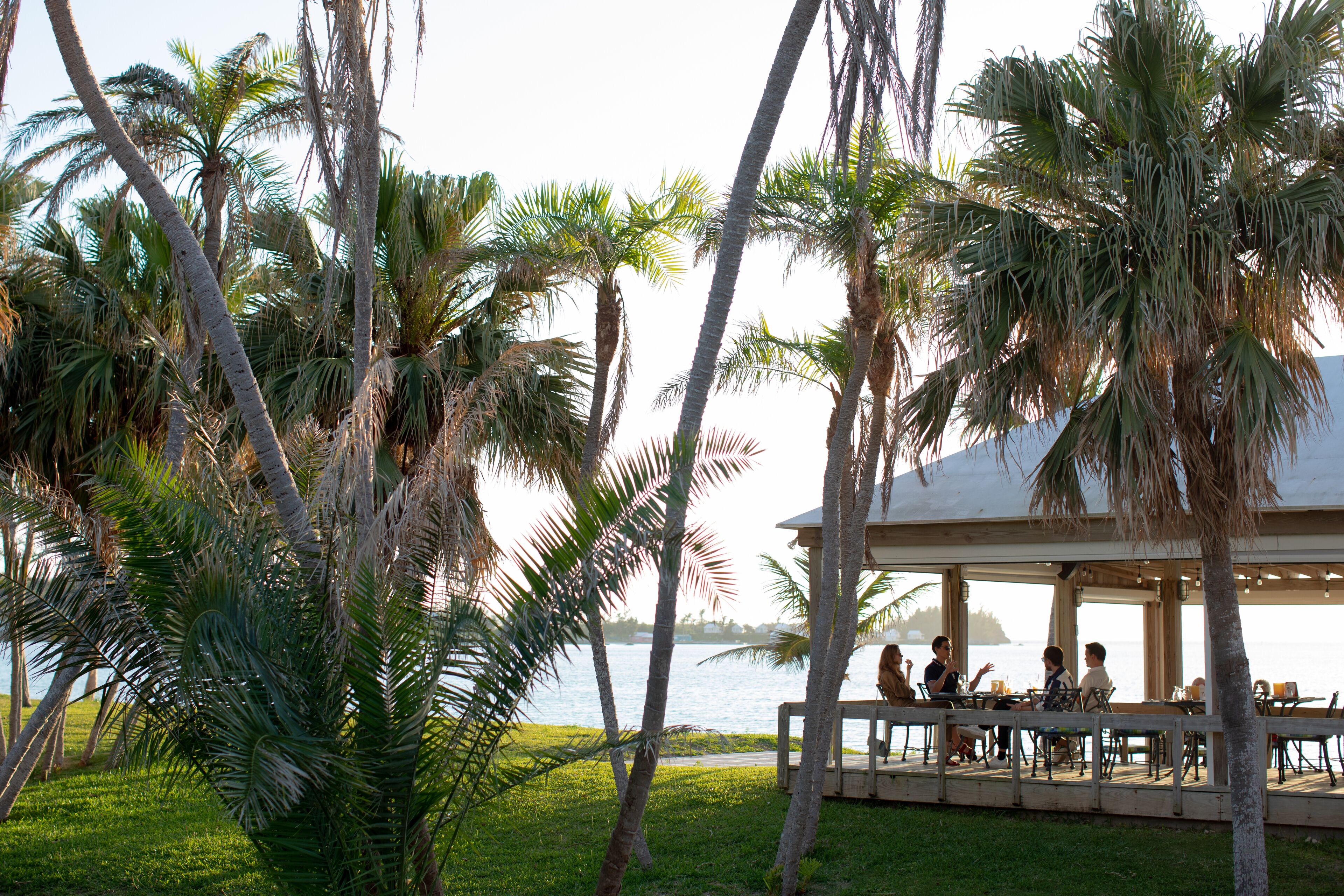 A covered outdoor seating area with tables and chairs, surrounded by palm trees and overlooking a body of water.