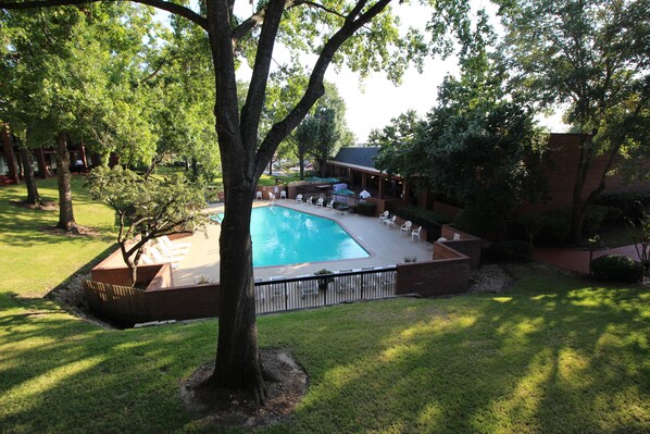 Una piscina al aire libre, sombrillas, tumbonas