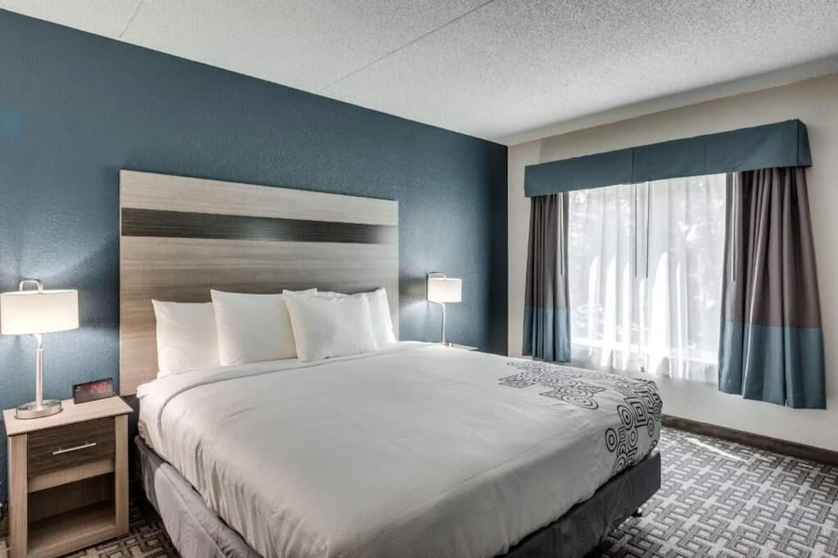 Desk, iron/ironing board, free WiFi, bed sheets