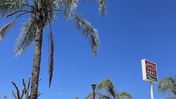 Piscina externa sazonal