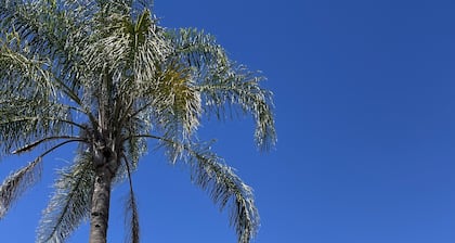 Philadelphia Motor Inn Echuca
