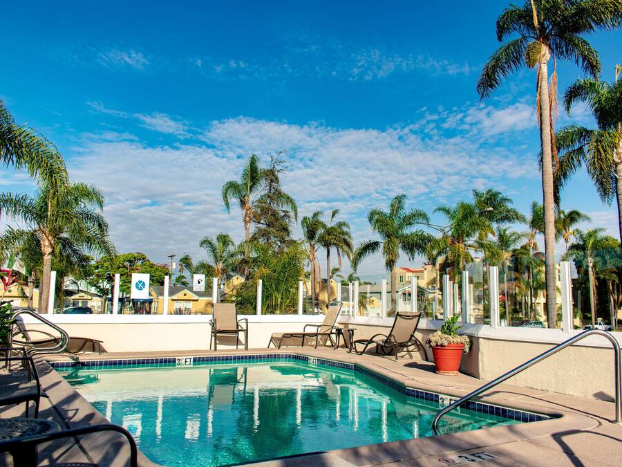 A swimming pool with lounge chairs and palm trees.