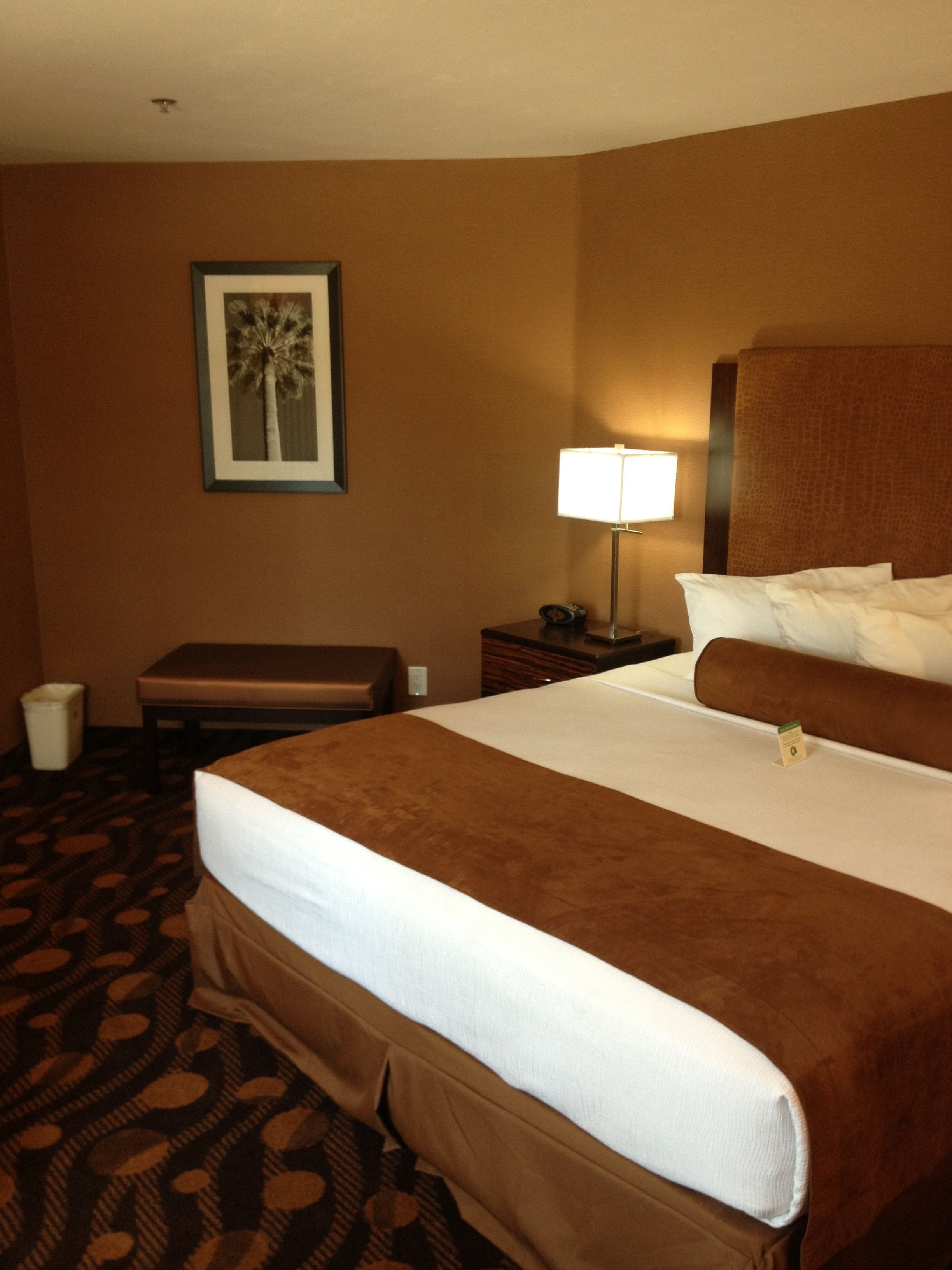 A hotel room with a large bed, a bedside table with a lamp, a framed picture on the wall, and a patterned carpet.