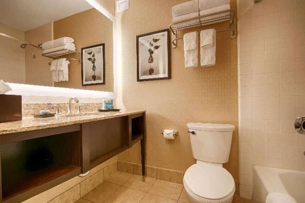 Banheiro | Chuveiro/banheira combinados, produtos de toalete biodegradáveis