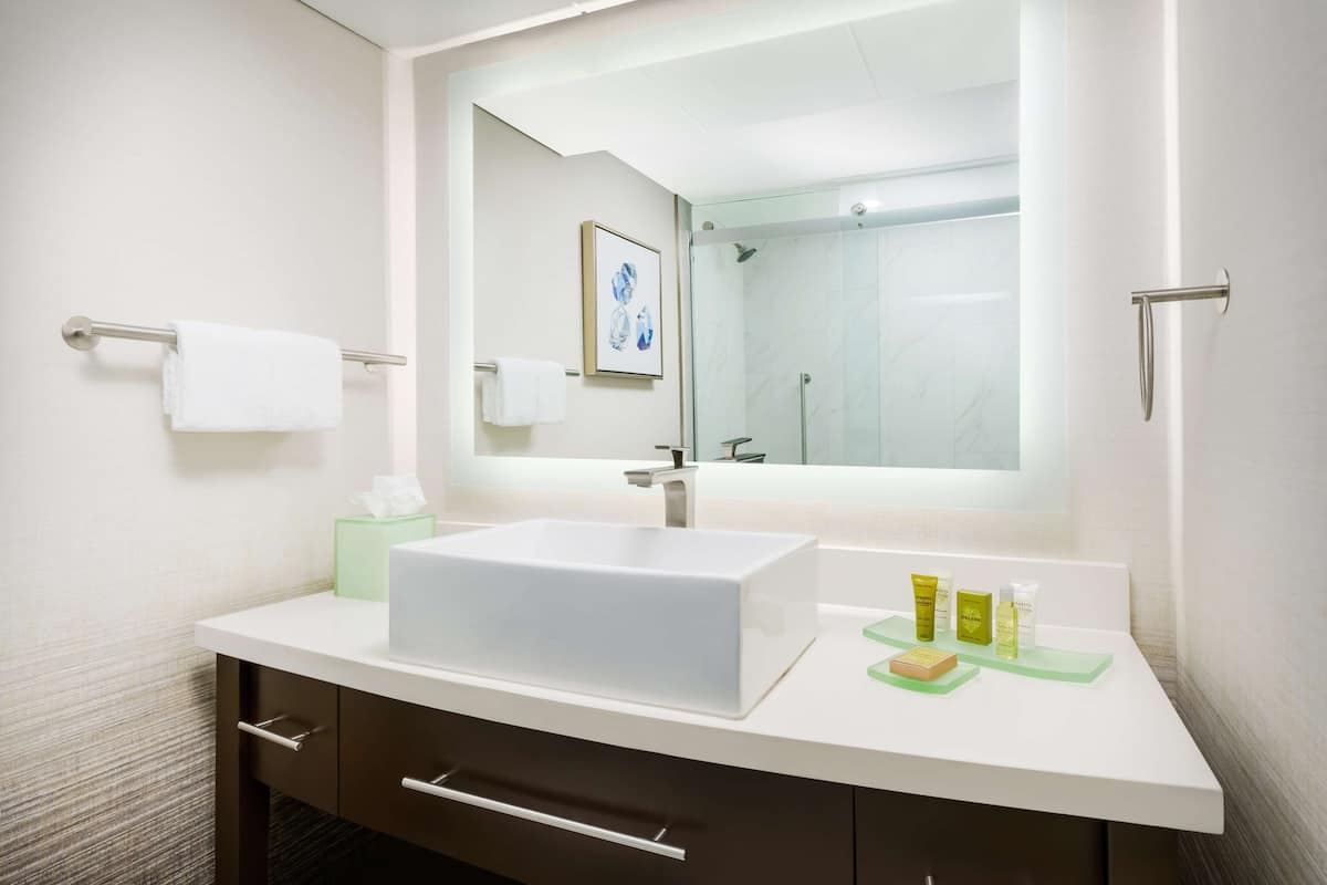 Combined shower/bathtub, eco-friendly toiletries, hair dryer, towels