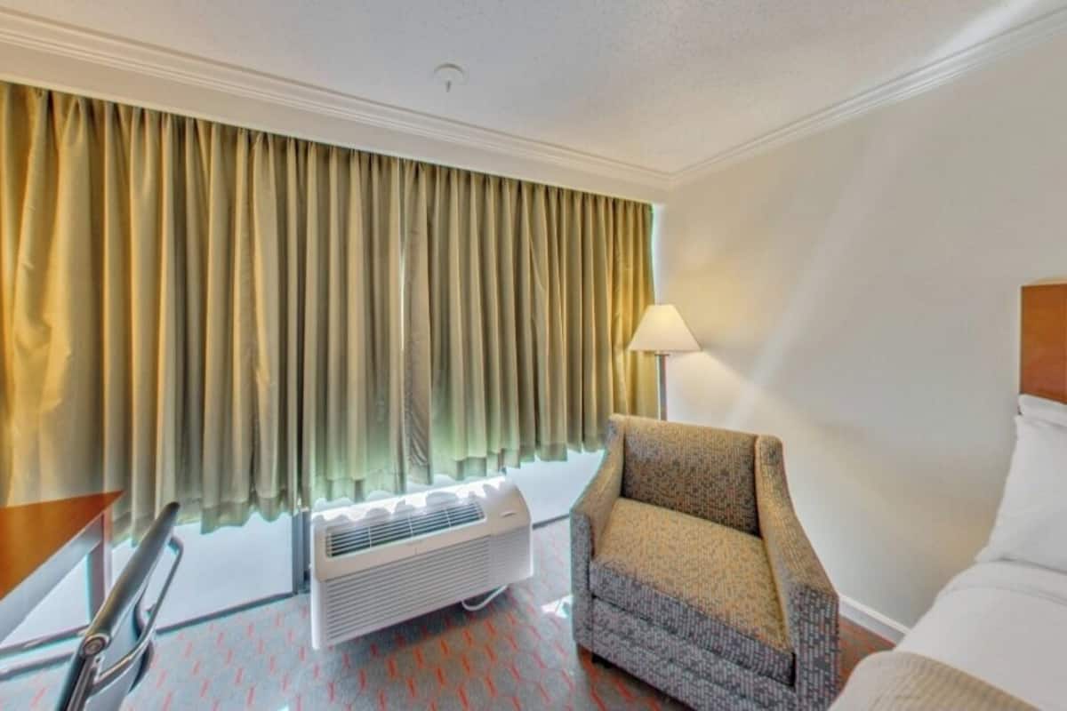 Executive Studio | Desk, blackout drapes, iron/ironing board, free WiFi