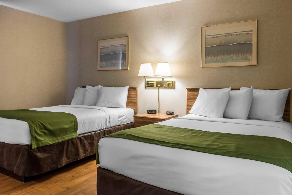 A hotel room with two beds, a nightstand with a lamp, and two framed pictures on the wall.