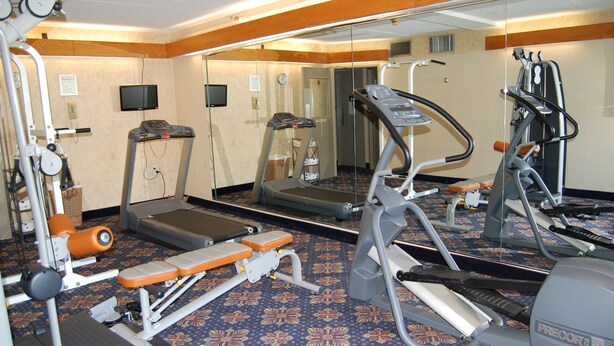 Un gimnasio con máquinas de cardio, equipo de entrenamiento de fuerza y un espejo grande.