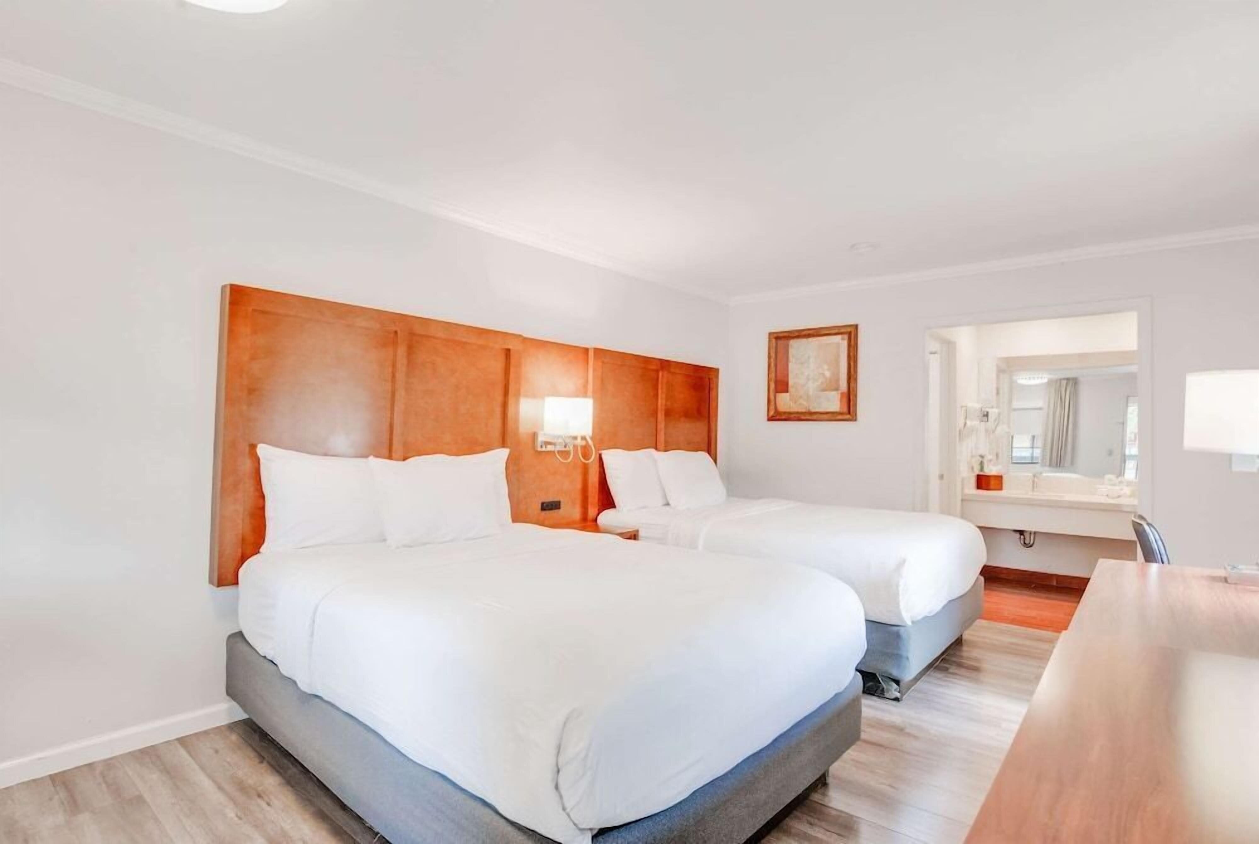 Premium bedding, desk, laptop workspace, blackout drapes