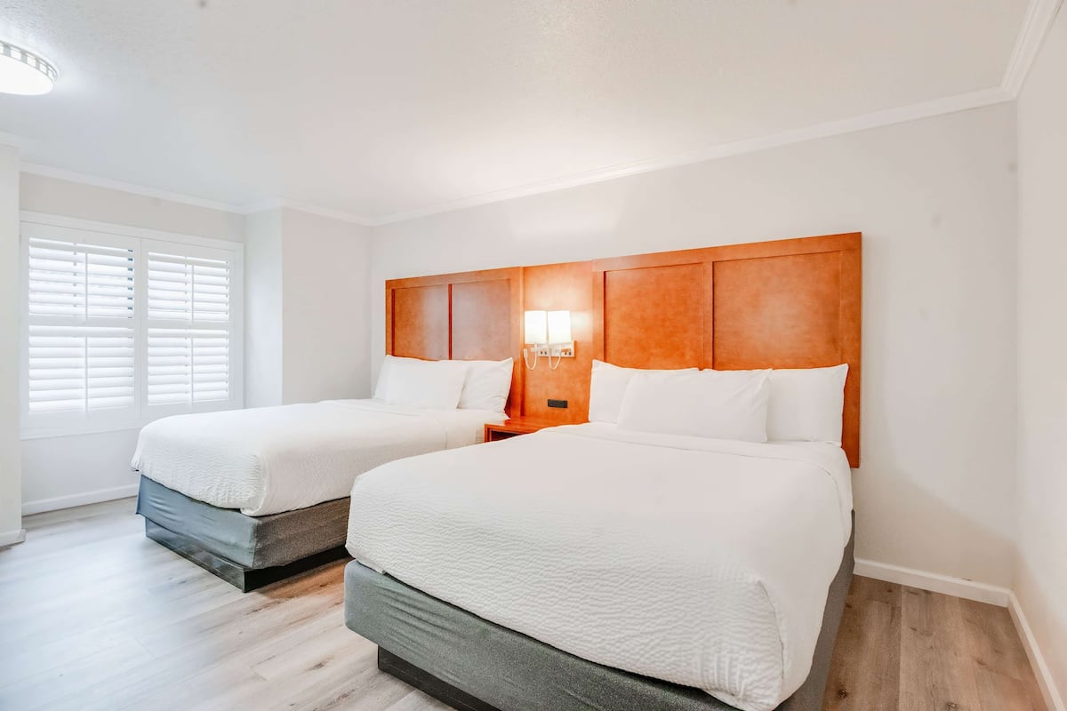 Premium bedding, desk, laptop workspace, blackout drapes