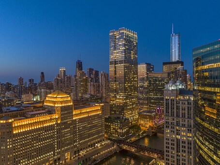 voco Chicago Downtown, an IHG Hotel - Image 4