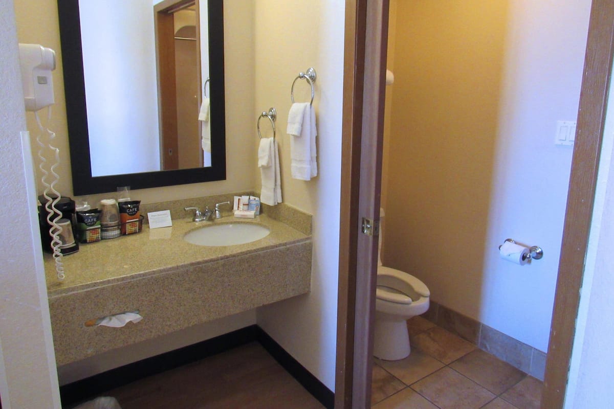 A hotel bathroom with a sink, mirror, and toilet.