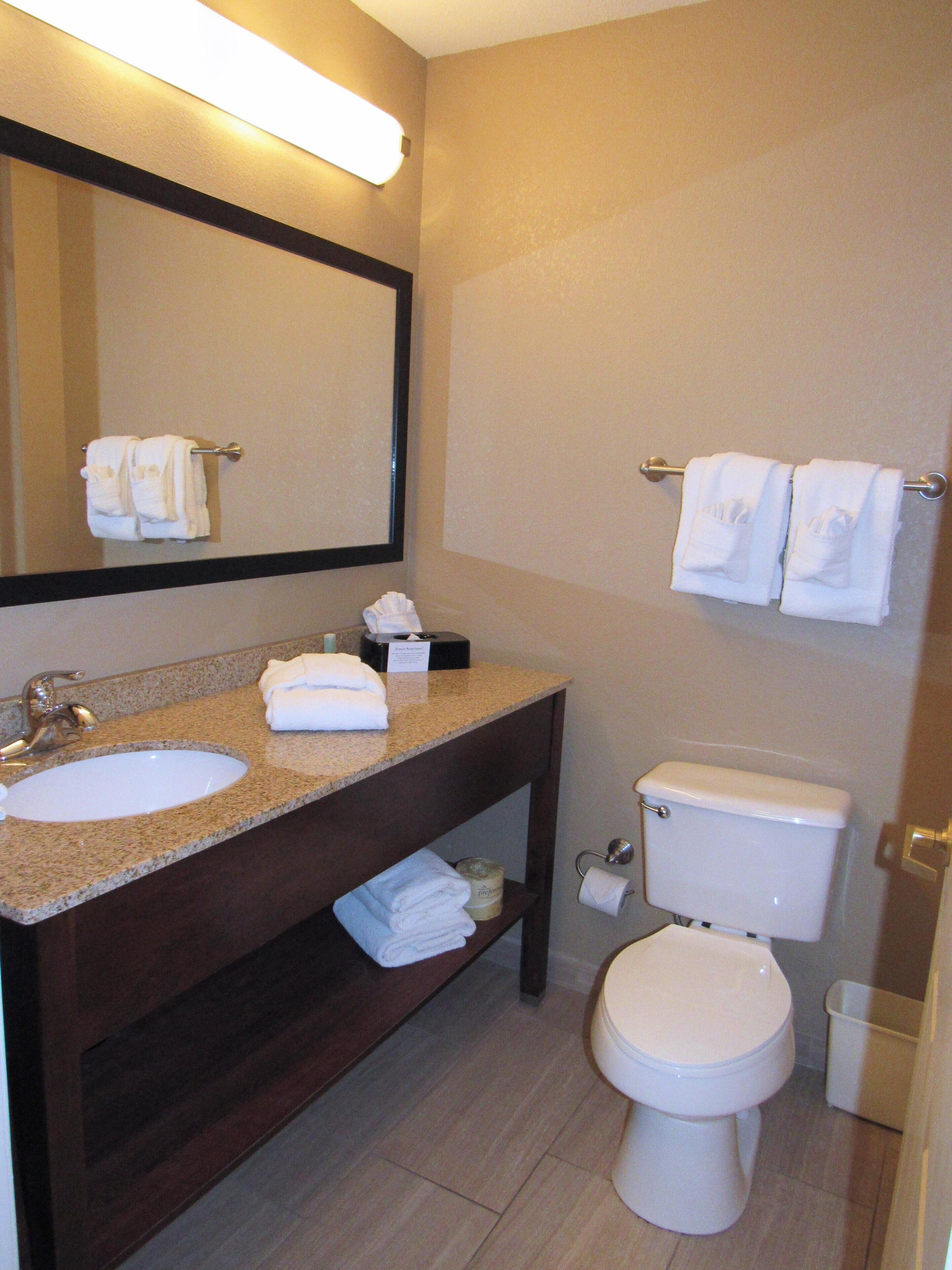 Eco-friendly toiletries, hair dryer, towels