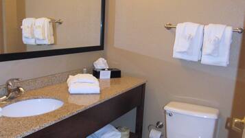 Eco-friendly toiletries, hair dryer, towels