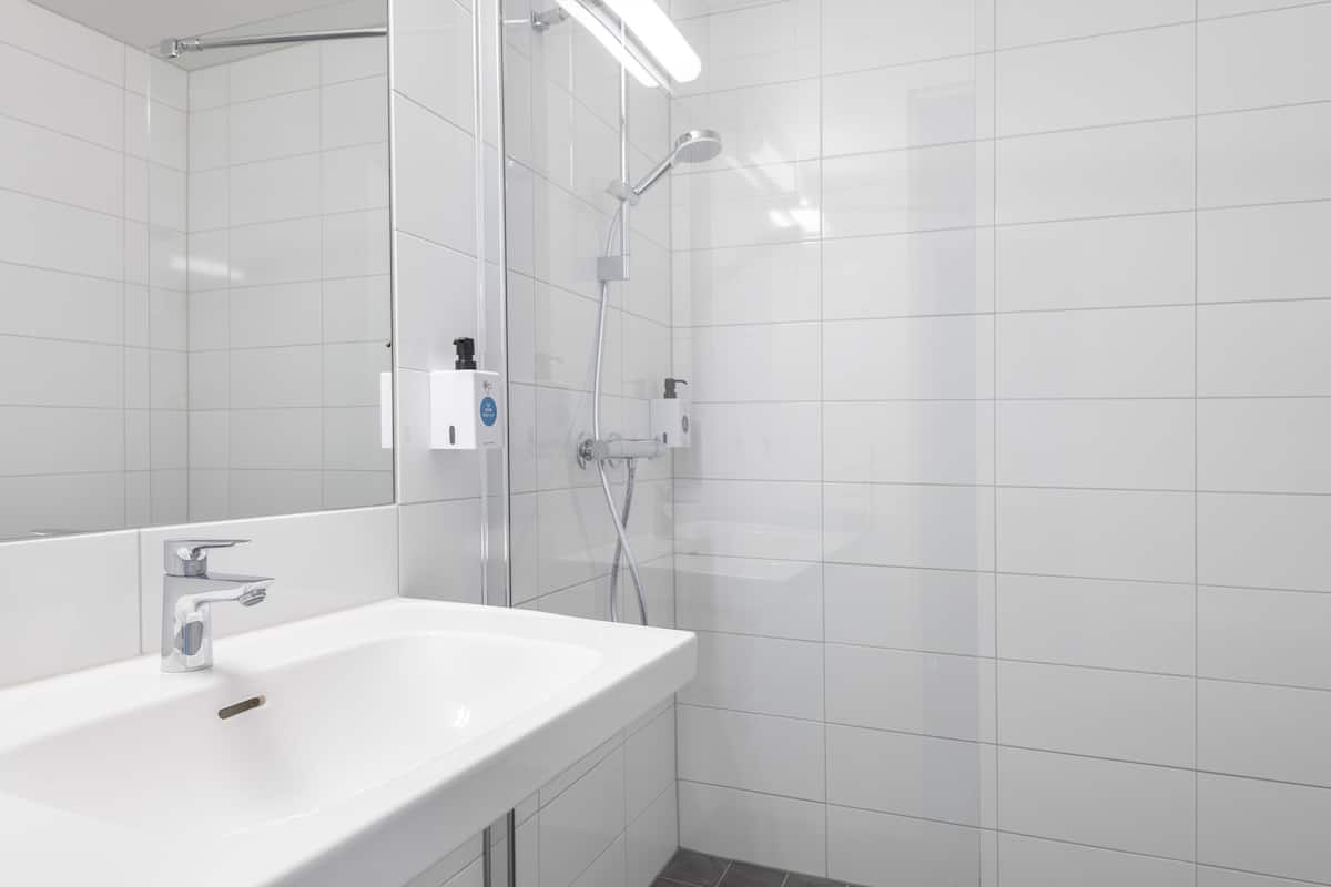 family room, 1 double bed with sofa bed, non smoking | bathroom | shower, eco-friendly toiletries, hair dryer, towels