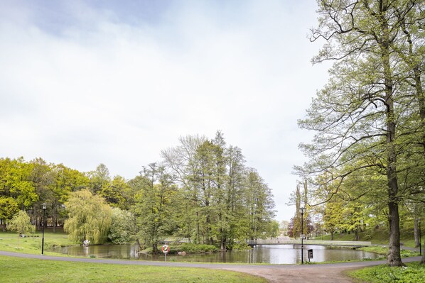 A park with a pond, trees, a bridge, and a path.