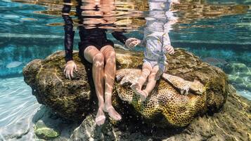 Two people sitting on a rock in clear water.