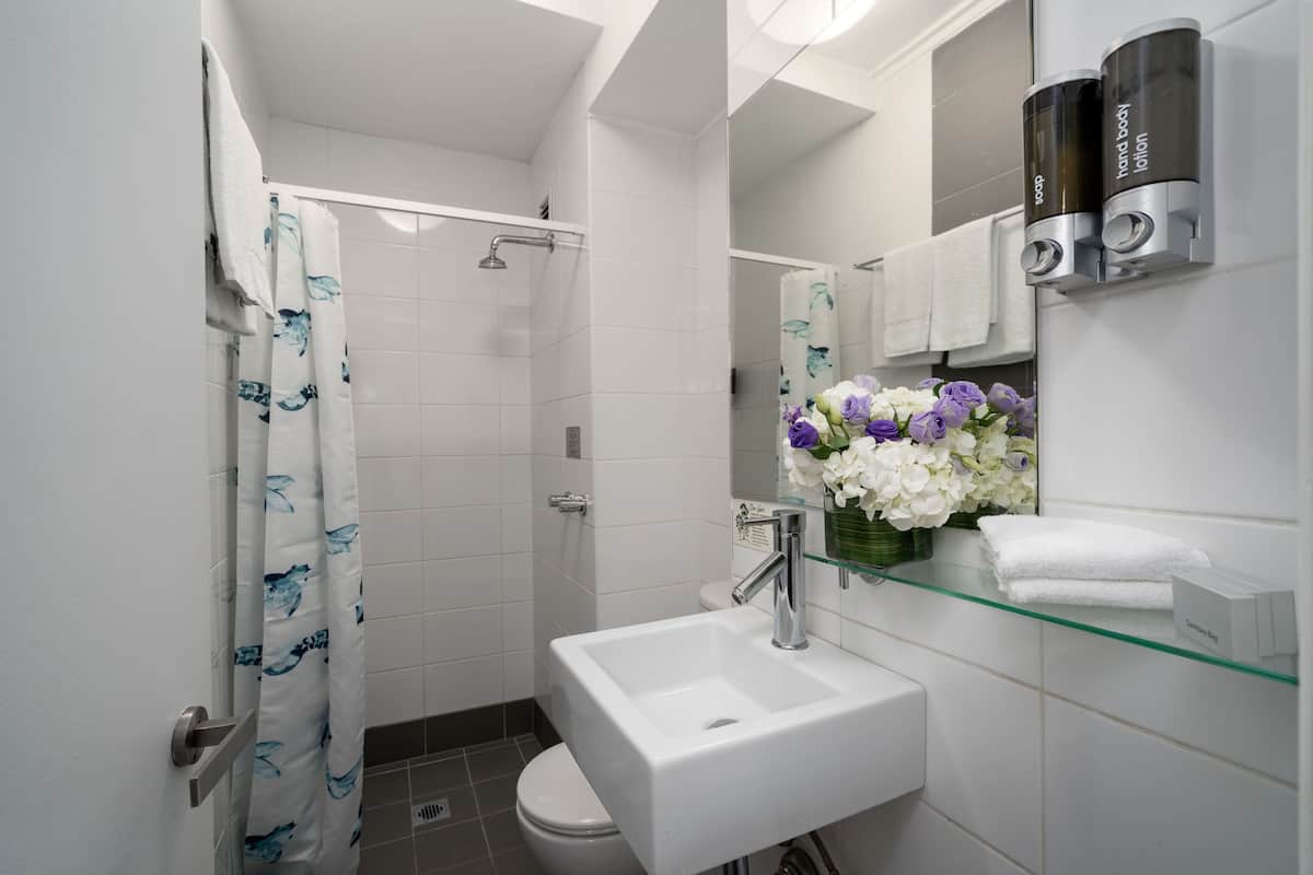 Een douche, gratis toiletartikelen, een haardroger, handdoeken