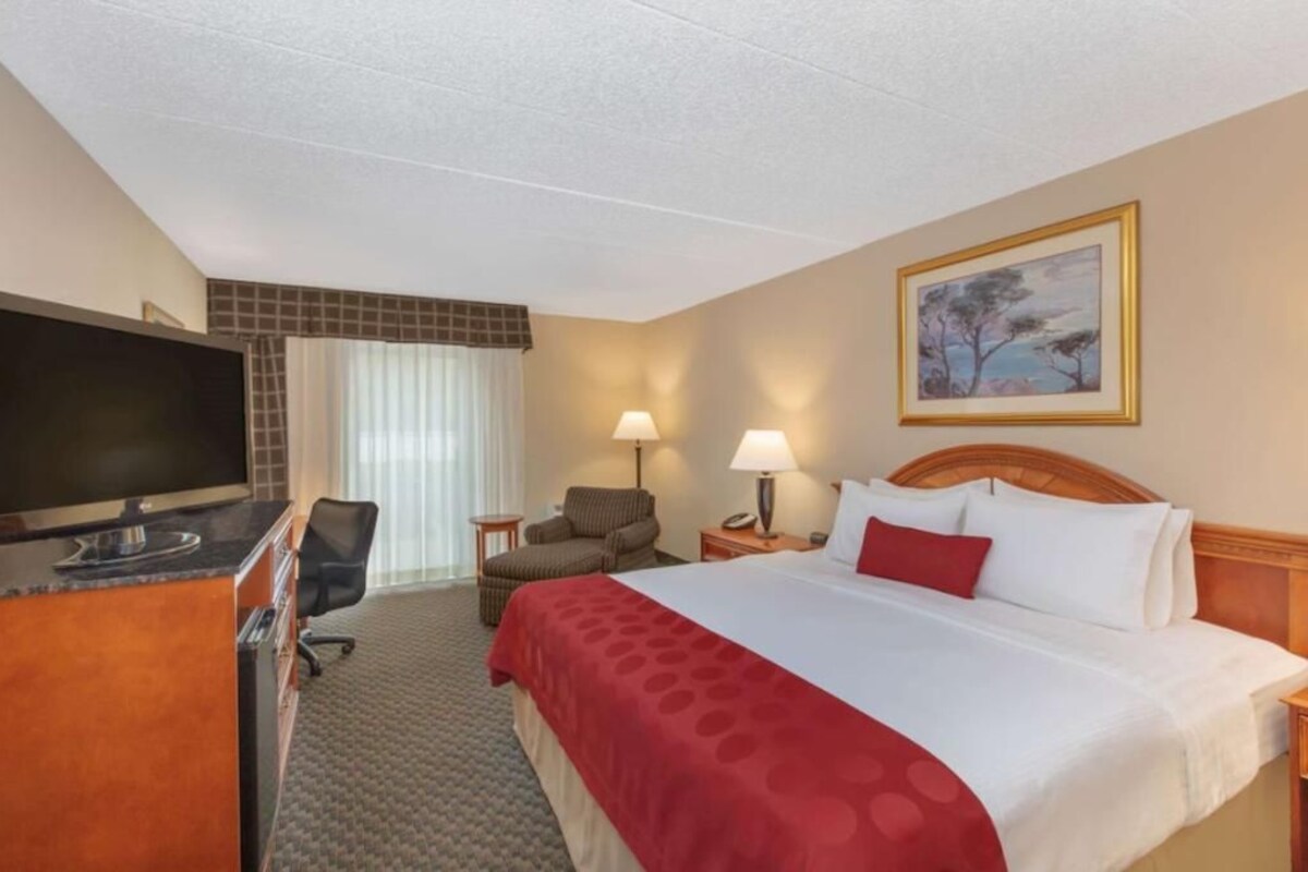 Habitación de hotel con una cama, un escritorio con televisor, una silla, una lámpara y un cuadro en la pared.
