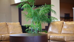 Een beige leren bank met een ronde salontafel in een kamer met een grote groene plant.