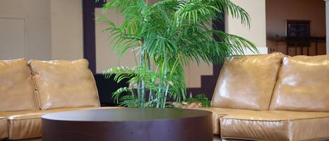A tan leather sofa with a round coffee table in a room with a large green plant.