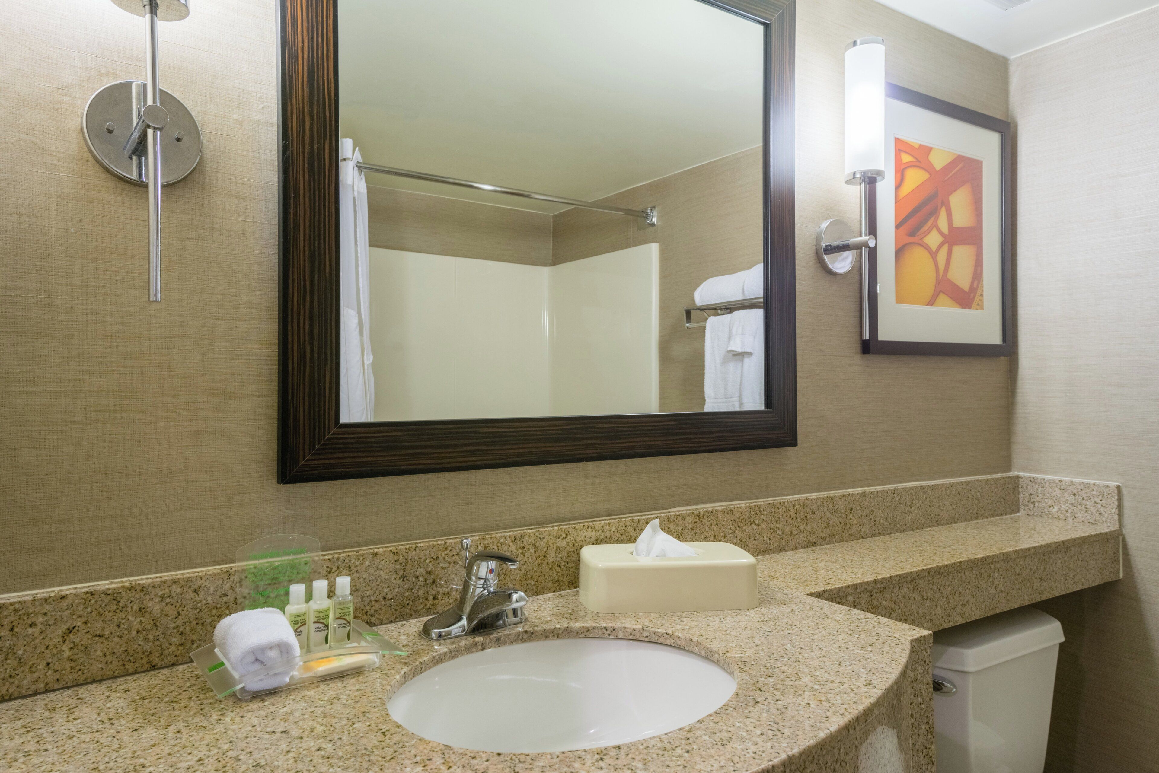 Baño de hotel con un espejo grande, un lavamanos, un perchero para toallas y una obra de arte enmarcada en la pared.