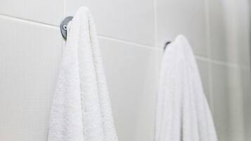 Ensemble baignoire-douche, séchoir à cheveux, serviettes fournies
