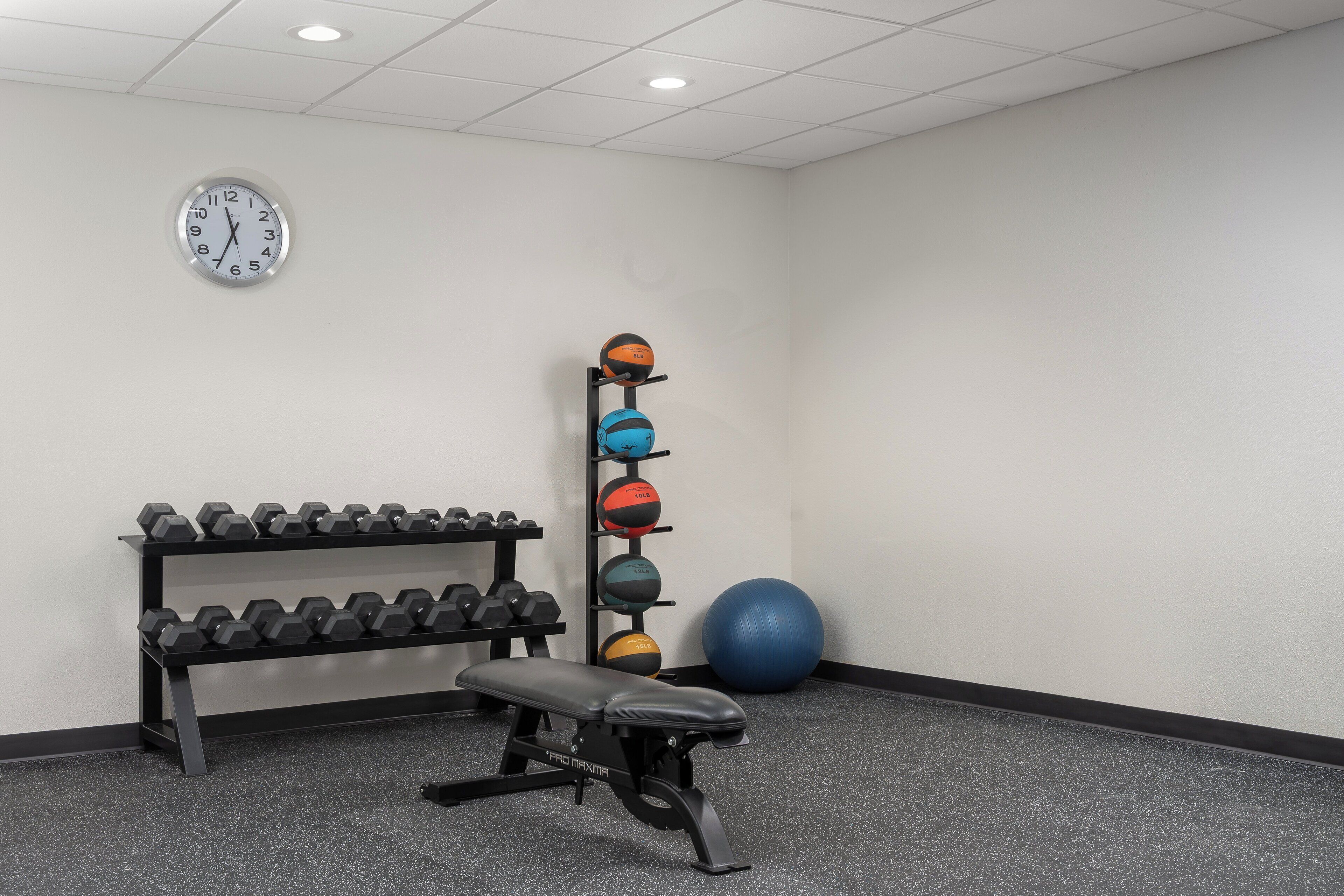 A gym with a bench, dumbbells, a medicine ball rack, and a large exercise ball.