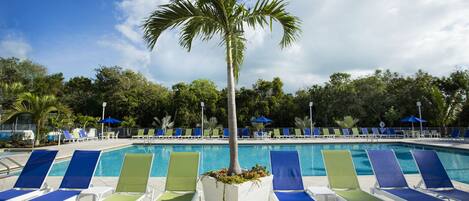 A poolside area with lounge chairs and a palm tree.