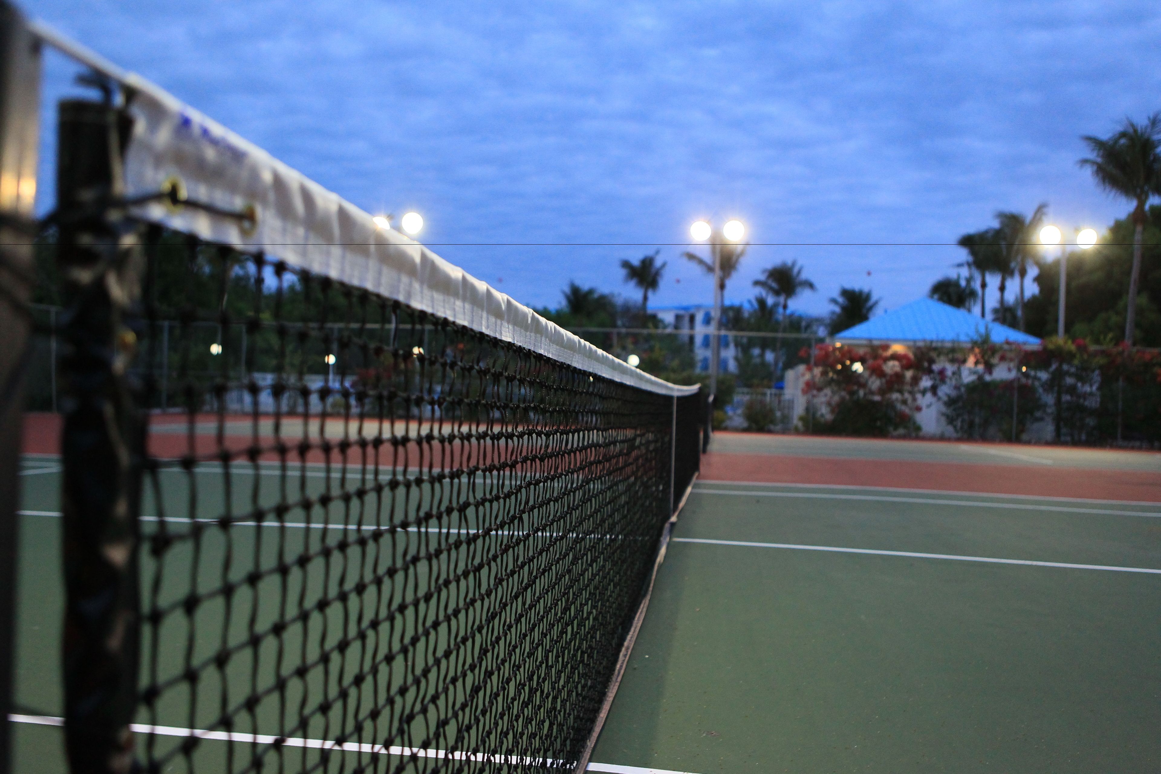A tennis court with a net in the foreground, surrounded by a fence and palm trees.