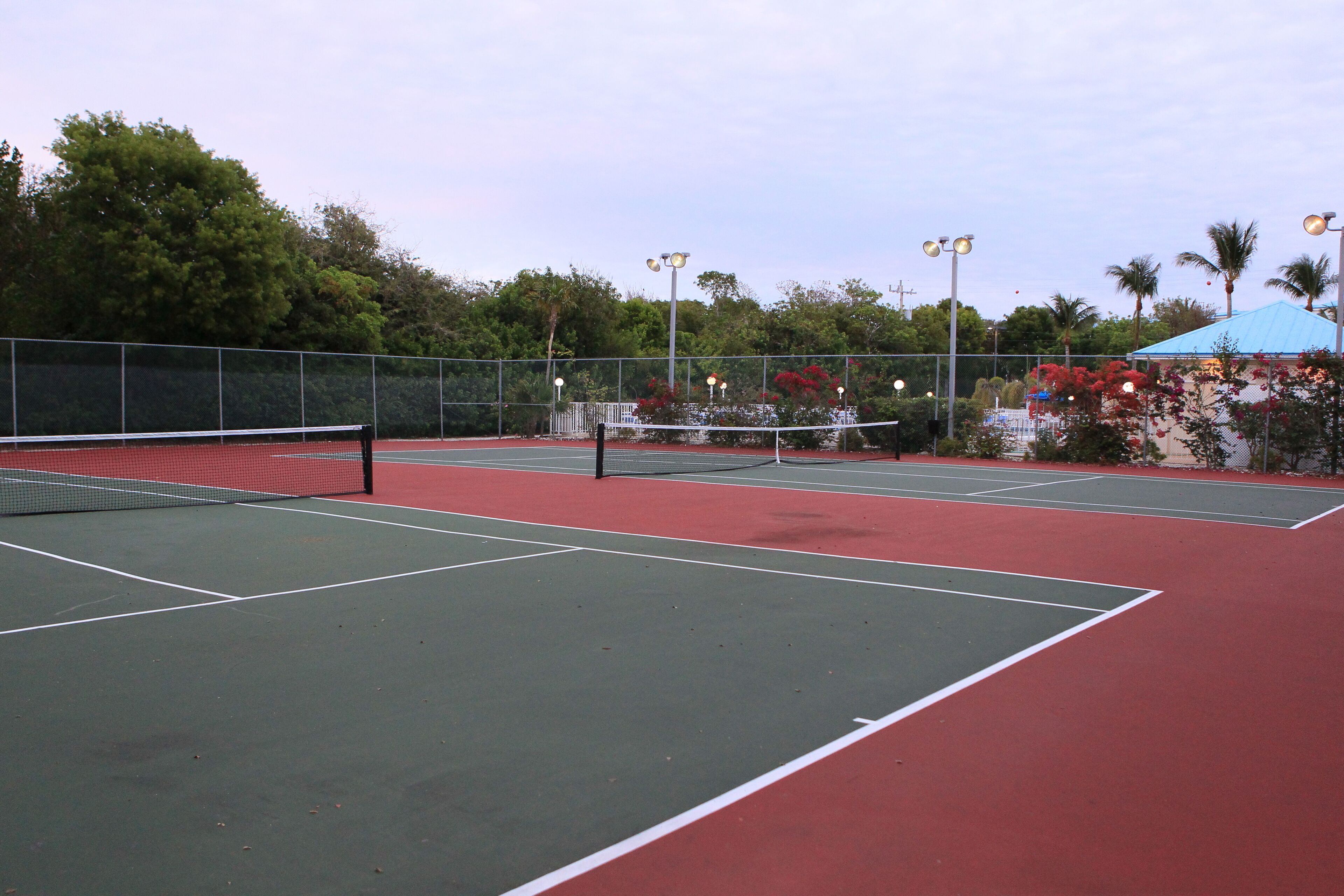 A tennis court with a net, surrounded by a fence and trees.