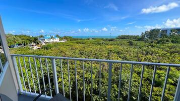 Chambre Deluxe, 1 grand lit et 1 canapé-lit, vue océan (1 Bedroom Ocean View Suite Signature) | Vue de la chambre