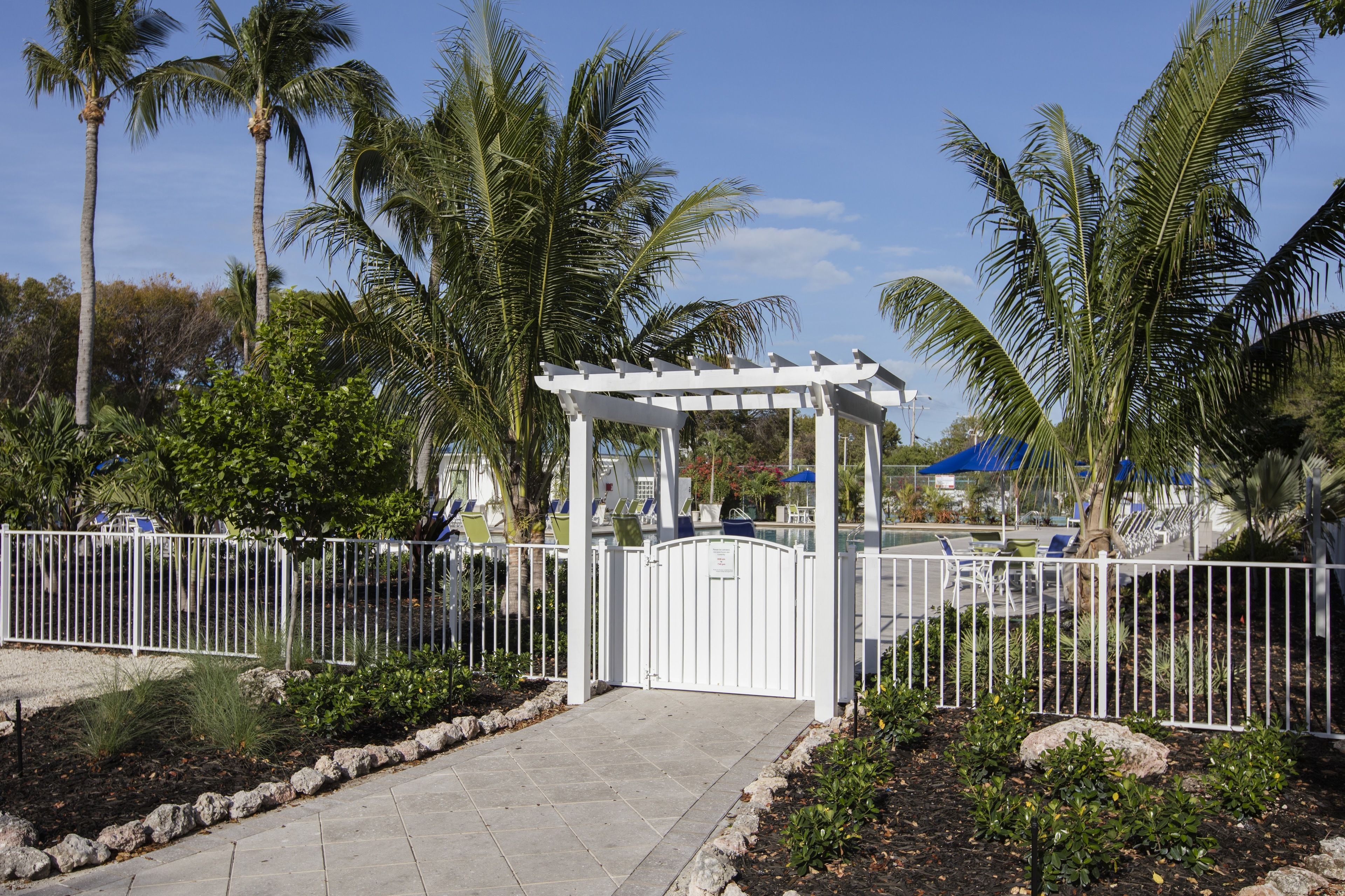 A gated entrance with a pergola, palm trees, and a paved pathway.