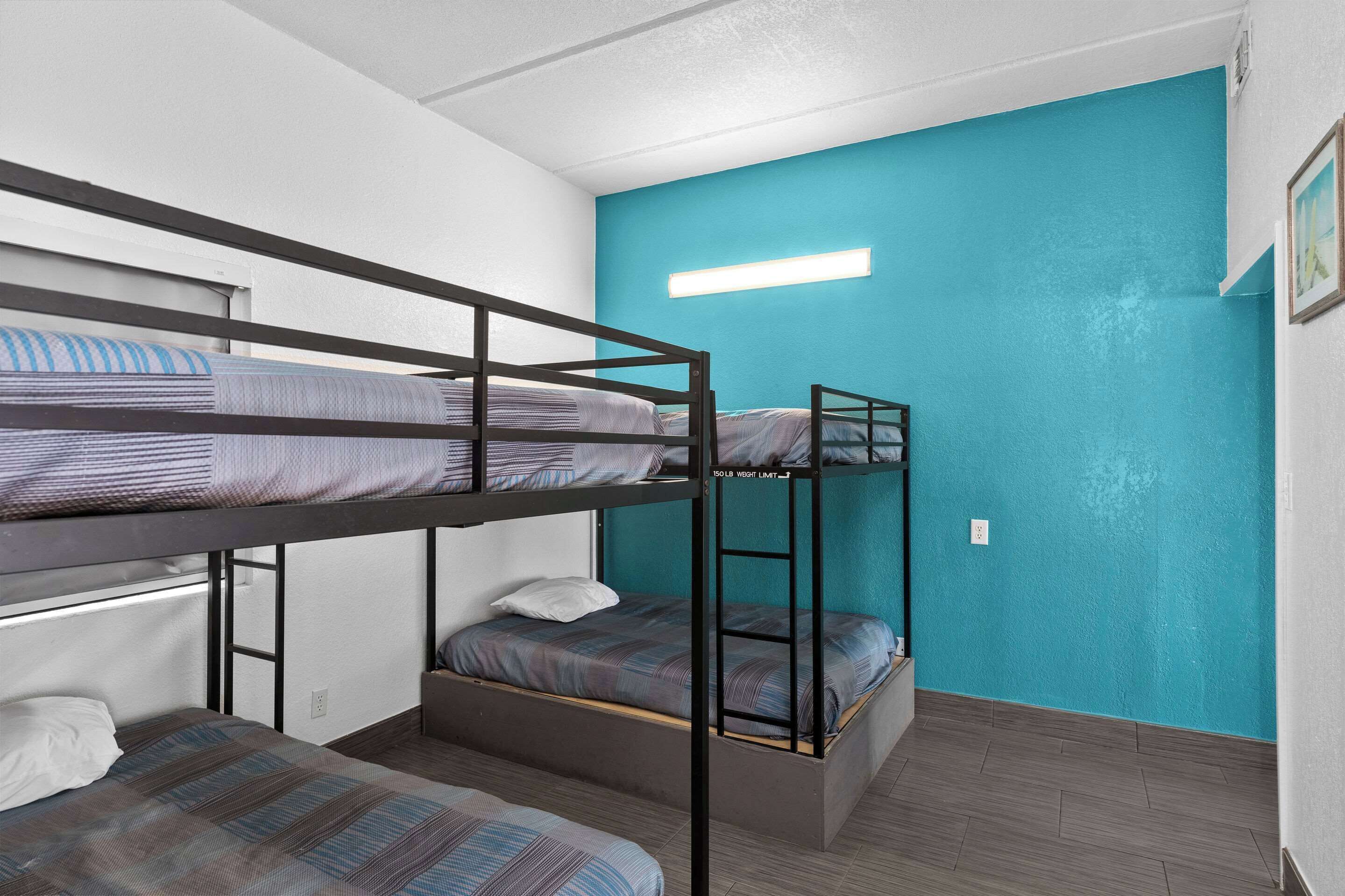 A bunk bed room with a teal accent wall and a small window.