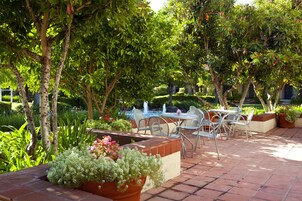 Jardines del alojamiento