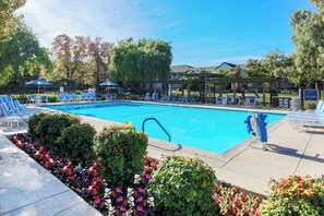 Pool - Four Points by Sheraton Pleasanton (Pleasanton)