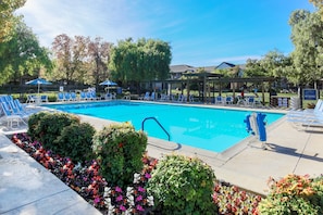 Outdoor pool, pool loungers