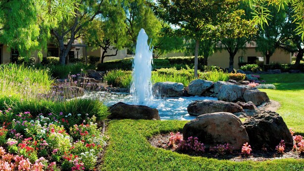 A landscaped garden with a central water feature, surrounded by various plants and flowers.