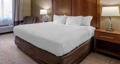 Comfort Inn Moline - Quad Cities