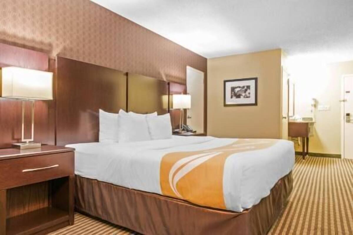 A hotel room with a bed, bedside tables, a lamp, a framed picture on the wall, and a carpeted floor.