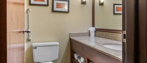 A bathroom with a toilet, sink, and handrails. There are two framed pictures on the wall.