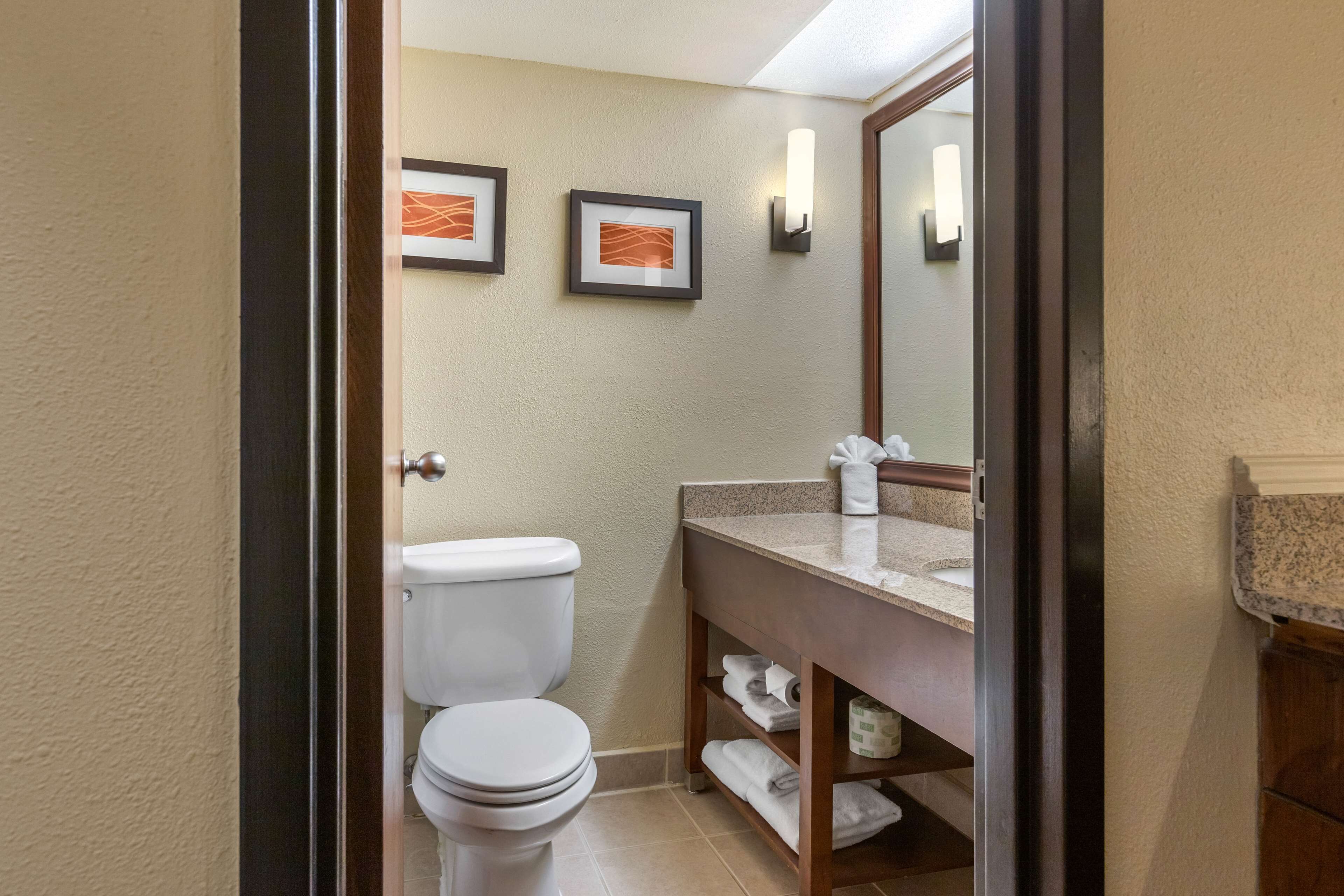 combined shower/bathtub, free toiletries, hair dryer, towels